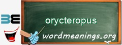 WordMeaning blackboard for orycteropus